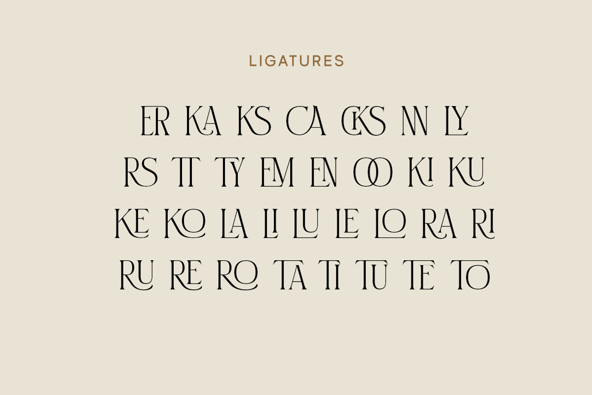 Elysian Manor - Stylish Serif, a Serif Font by Letterhend Studio (Photo 6 of 9)