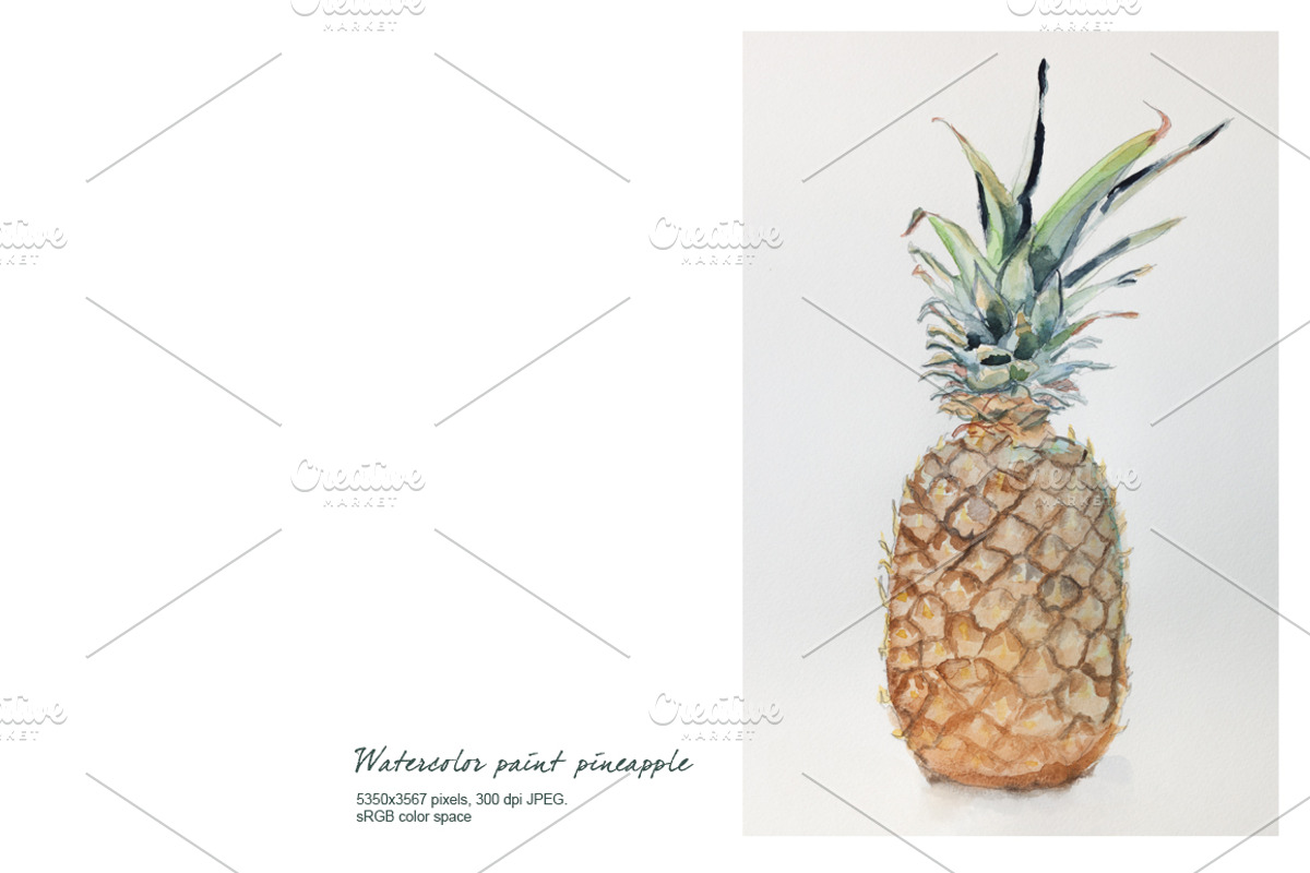 Pineapple watercolor, a Food Illustration by Ernesto Solla (Photo 1 of 2)