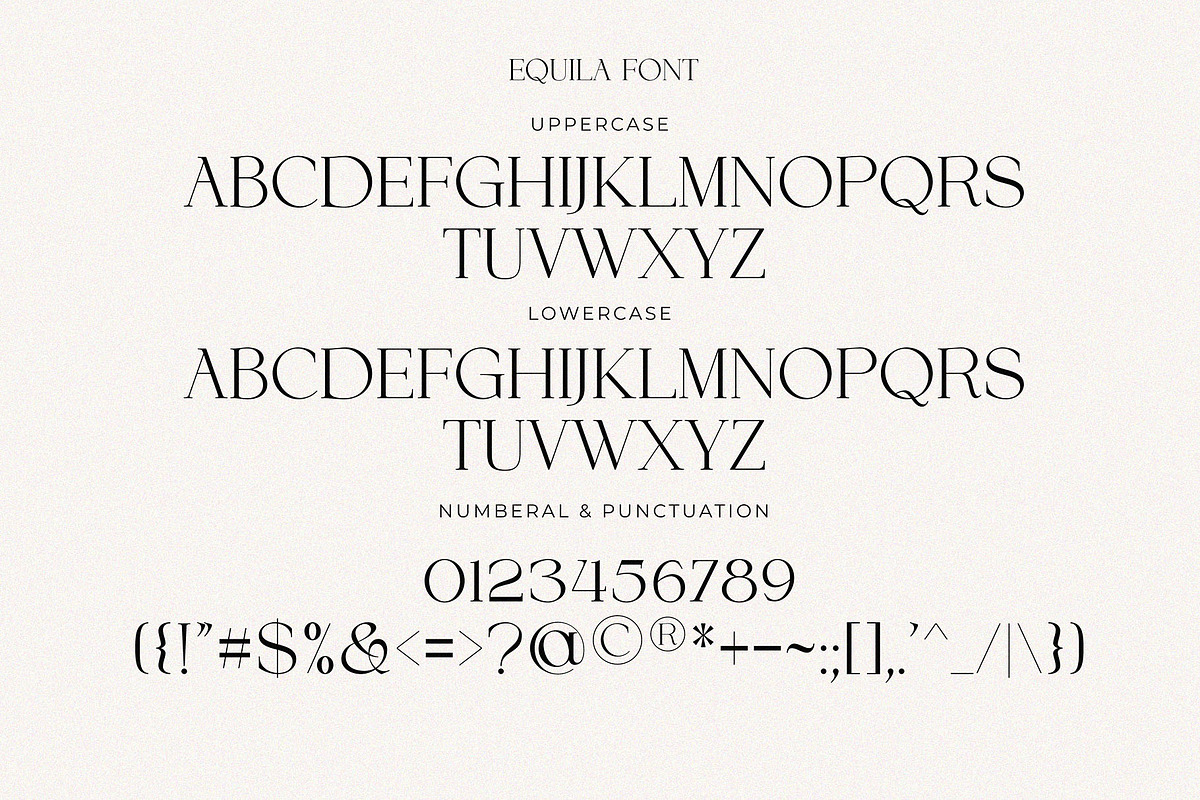 Equila || Display Ligature Serif, a Serif Font by ToniStudio (Photo 8 of 10)