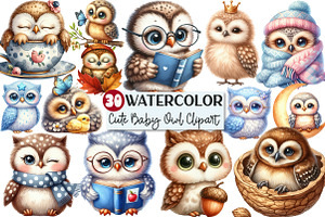 Watercolor Baby Owl Clipart, an Illustration by Rose Art