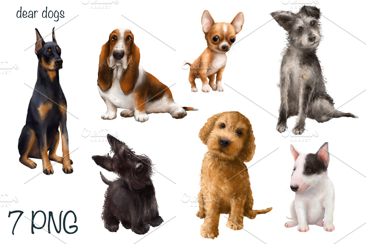 Dog breeds collection, an Animal Illustration by sheincar (Photo 2 of 4)