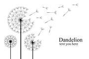 Dandelion + pattern, a Background Graphic by Volyk (Thumbnail 1 of 4)