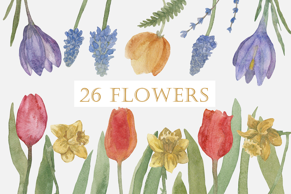 Spring Wildflowers, an Illustration by Elisa Ursa (Photo 2 of 7)