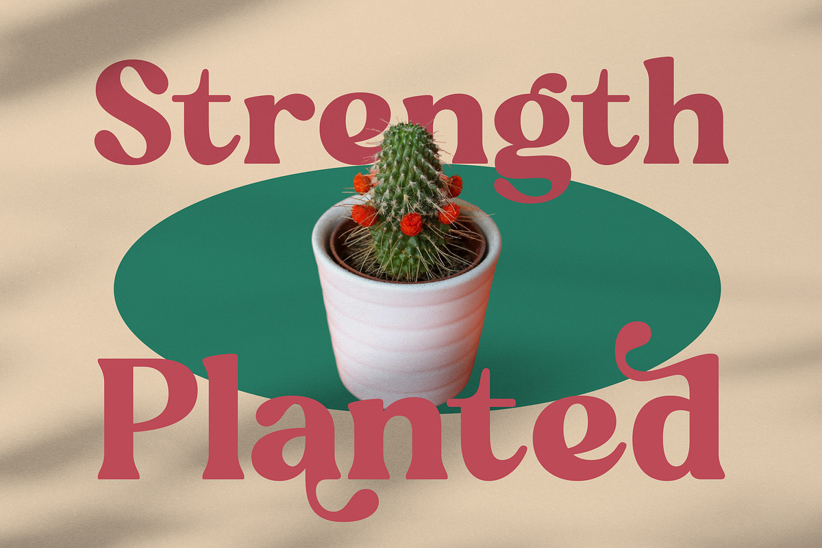 Regina Bonita Modern Retro Serif, a Serif Font by timelesstype.co (Photo 2 of 20)