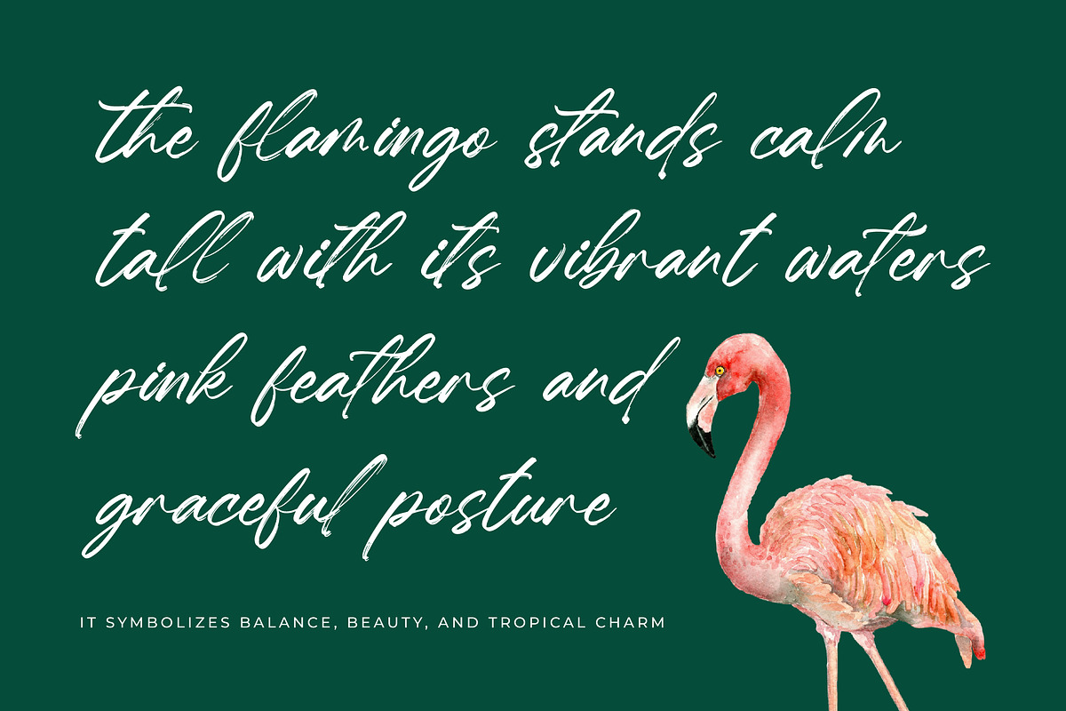 Hugetta Amphals Elegant Brush Font, a Script Font by Letterena Studios Script (Photo 4 of 15)