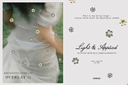 Light & Applied: Scanned Textures, a Texture Graphic by Purple (Thumbnail 12 of 22)
