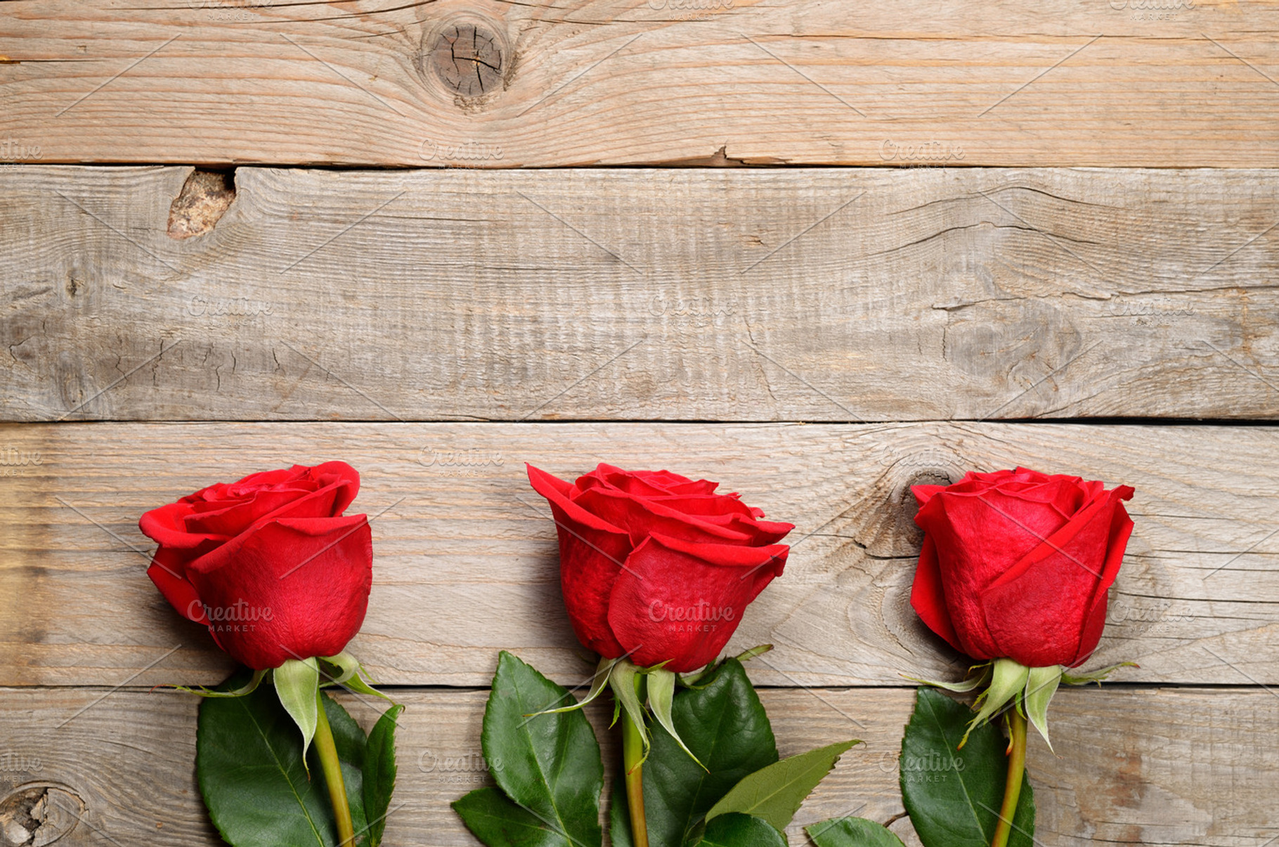 Red roses on wood containing roses, red, and floral