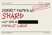 Shard — Rough Marker Display Font, a Handwritten Font by Lettra Studio (Thumbnail 11 of 15)
