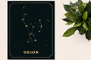 88 Star Constellations, an Illustration by Megs Lang (Thumbnail 2 of 12)