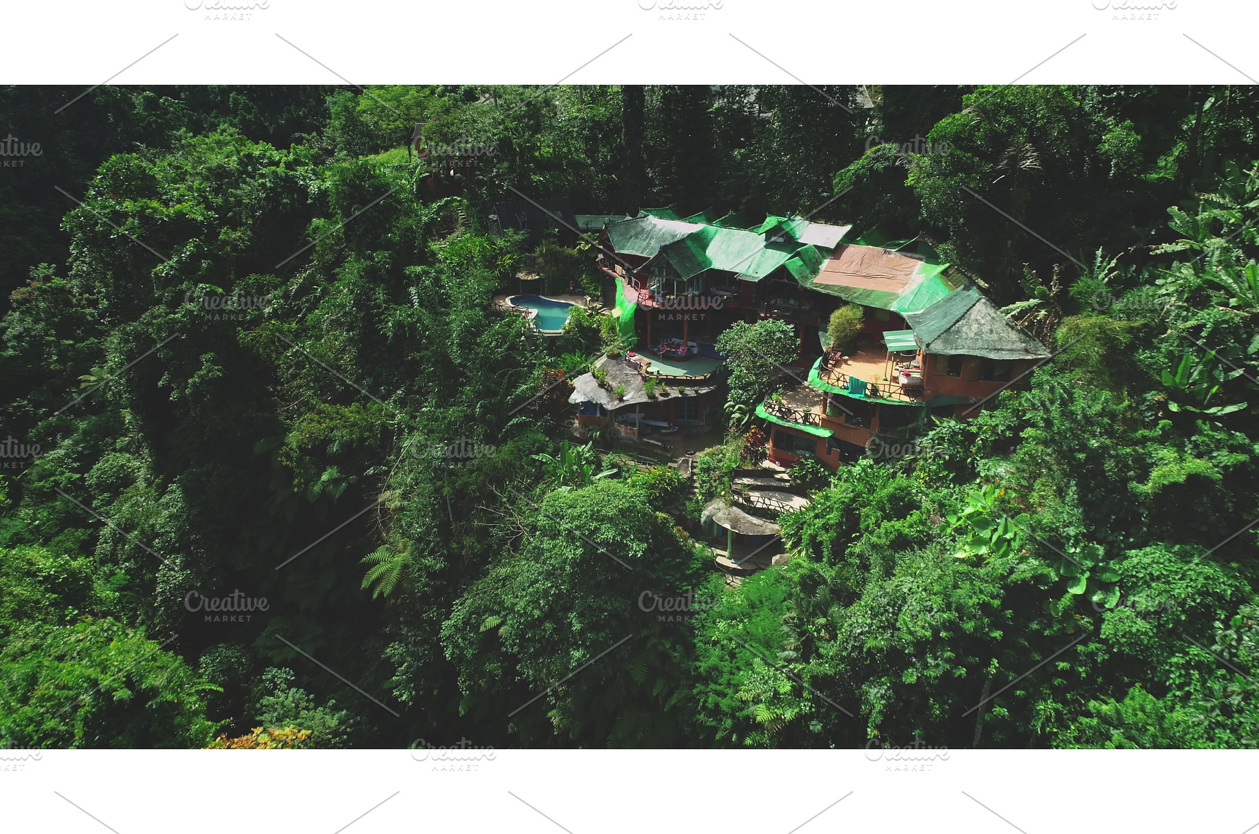 Stunning Jungle Retreat Surrounded, a Nature Photo by Goinyk