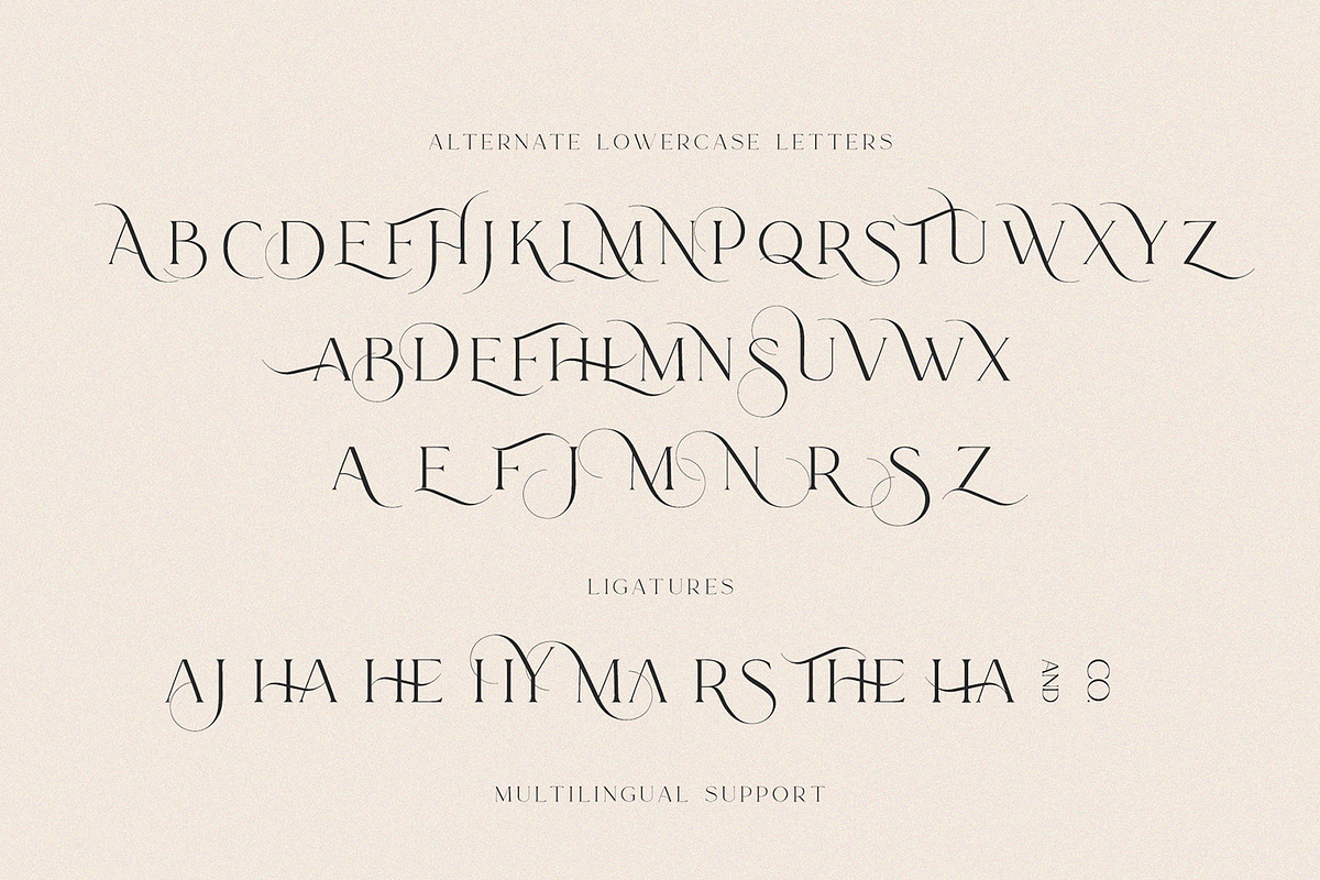 Le Major | Display Serif Font, a Serif Font by Calamar Studio (Photo 14 of 15)