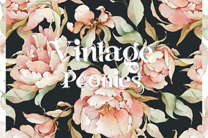 Watercolor peony roses pattern set
