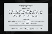 Slowly Signature, a Script Font by Drizy (Thumbnail 7 of 8)
