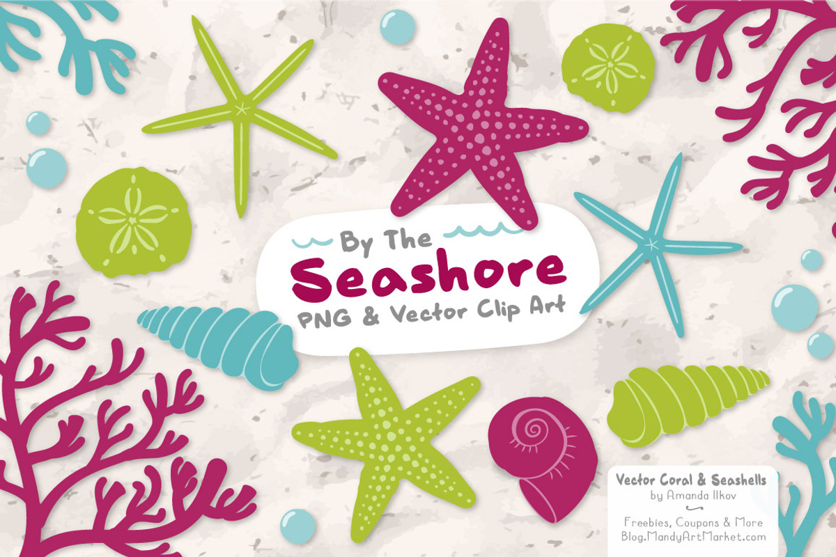 Seashells Clipart in Bohemian, an Illustration by Amanda Ilkov (Photo 1 of 5)