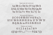 Surfside Paradise - Classy Serif, a Serif Font by Shakira Studio (Thumbnail 17 of 18)