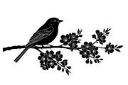 Bird Branch Silhouette Bundle, an Illustration by yasushie (Thumbnail 7 of 31)