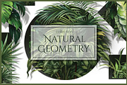 Natural Geometry, a Wallpaper Graphic by art_gallery (Thumbnail 1 of 11)