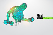 Silhouettes of a bodybuilder, GYM, a Healthcare Illustration by Matrosovv (Thumbnail 1 of 4)