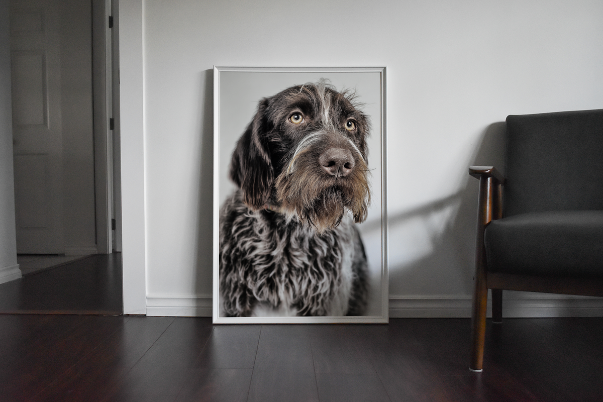 Frame Mockup Bundle - Burro, a Household Mockup by Saguaro Digital (Photo 10 of 13)