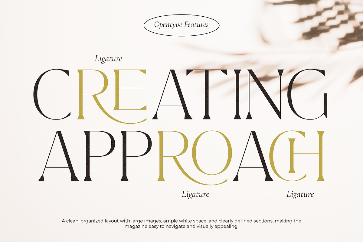 Master Modern -  Ligature Serif Font, a Serif Font by Lettersiro (Photo 5 of 8)