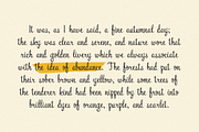 Jack's Lantern, a Sans Serif Font by Bruised Goods (Thumbnail 14 of 14)