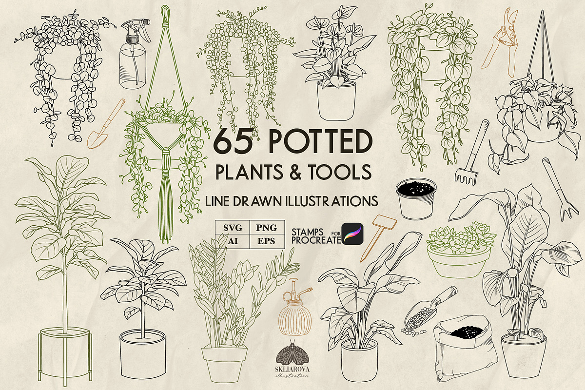 Potted Plants Line Art + Procreate, an Object Illustration by Skliarova (Photo 1 of 4)