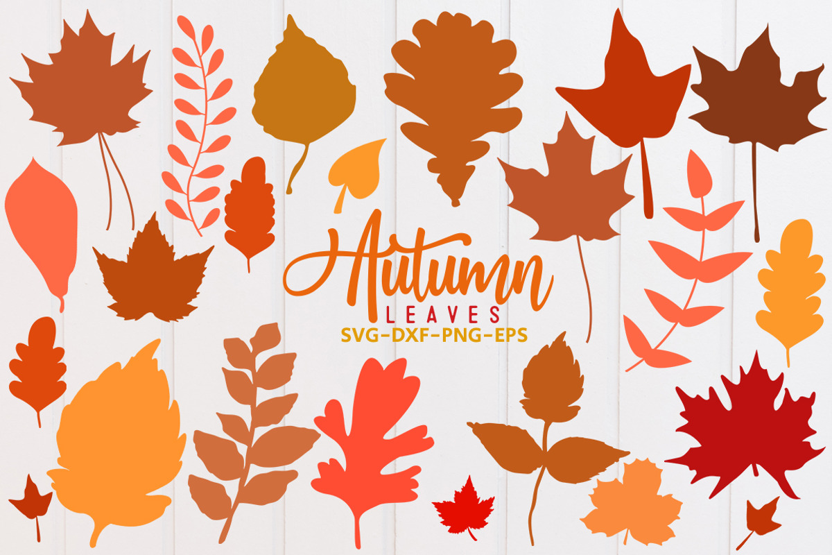 Fall leaf svg bundle, Autumn leaf, a Seasonal Illustration by Etcify