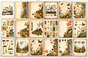Vintage Botanical Junk Journal Pages, an Object Graphic by Anna Design Studio (Thumbnail 3 of 5)