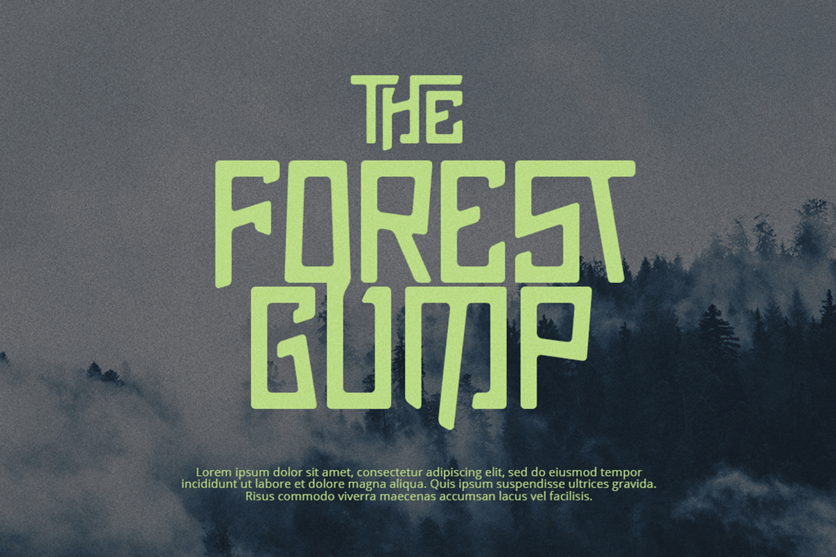 Pluck Font, a Font by Grontype (Photo 6 of 12)