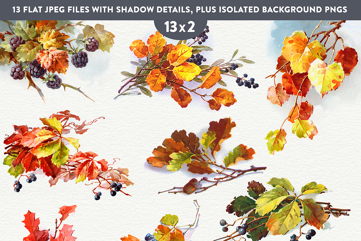 Fall Leaves and Berries, an Illustration by French Kiss Collections (Photo 2 of 7)