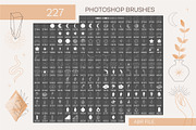 Stamp Brushes Procreate & Photoshop, a Brush Add-On by NinaFedorova (Thumbnail 5 of 7)