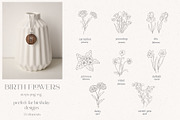 Birth-Flowers. Watercolor & Line Art, a Decorative Illustration by Designwork (Thumbnail 8 of 14)