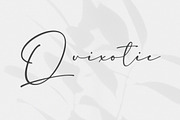 Southerns - Handwritten Script Font, a Script Font by Flawless And Co (Thumbnail 5 of 10)