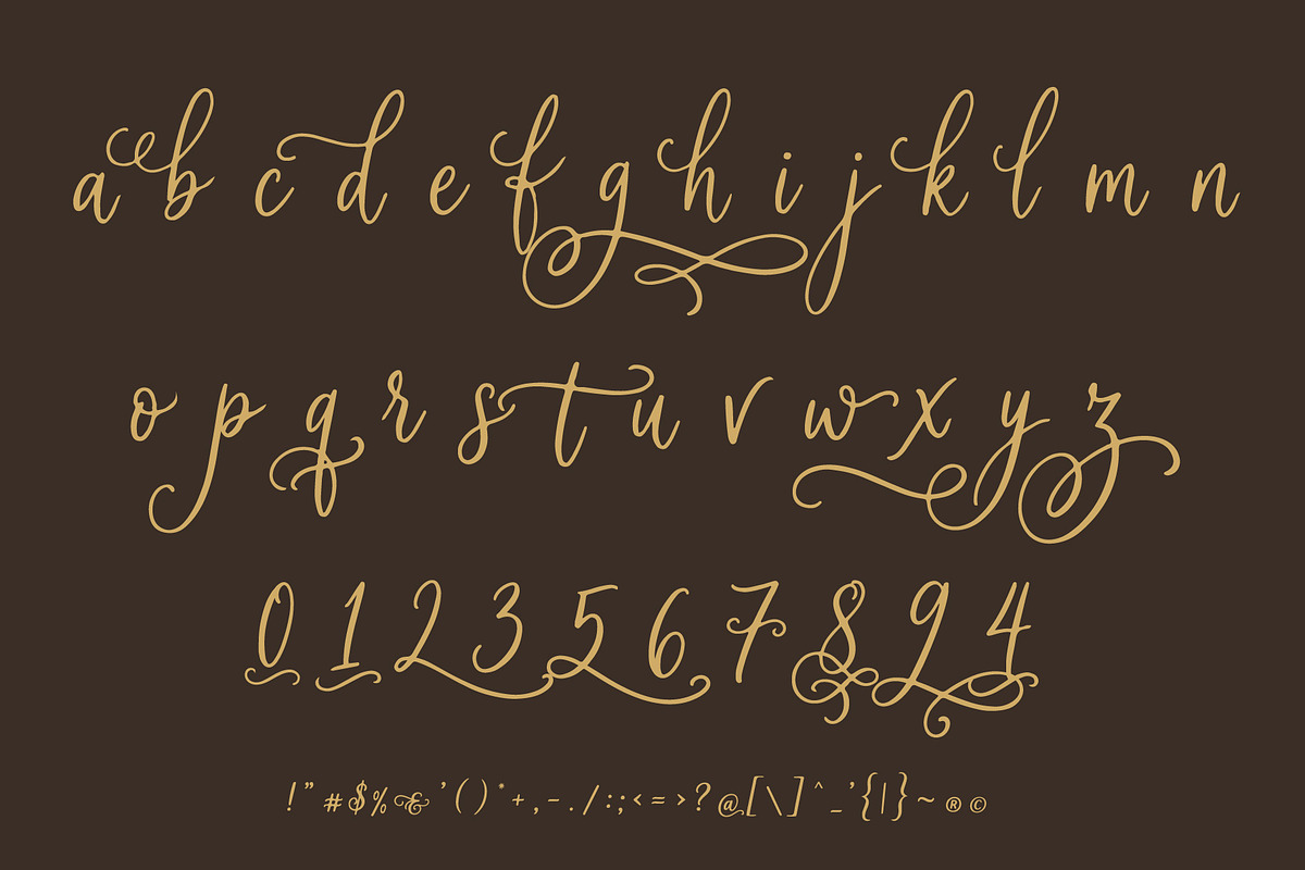 Soila Yadelle Elegant Curves Script, a Script Font by HypeWorksCo (Photo 15 of 15)