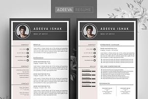 Professional Resume Template Ishak