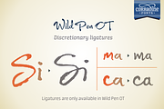 Wild Pen OT, a Script Font by Corradine Fonts (Thumbnail 6 of 7)