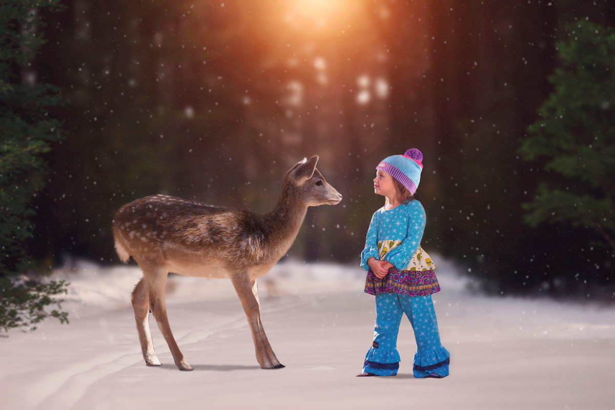 10 - Christmas Deer PNG Overlays, an Object Graphic by DareToDream (Photo 3 of 4)