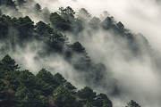 250 Misty mountain landscape Bundle, a Nature Photo by Virgo Studio (Thumbnail 7 of 7)