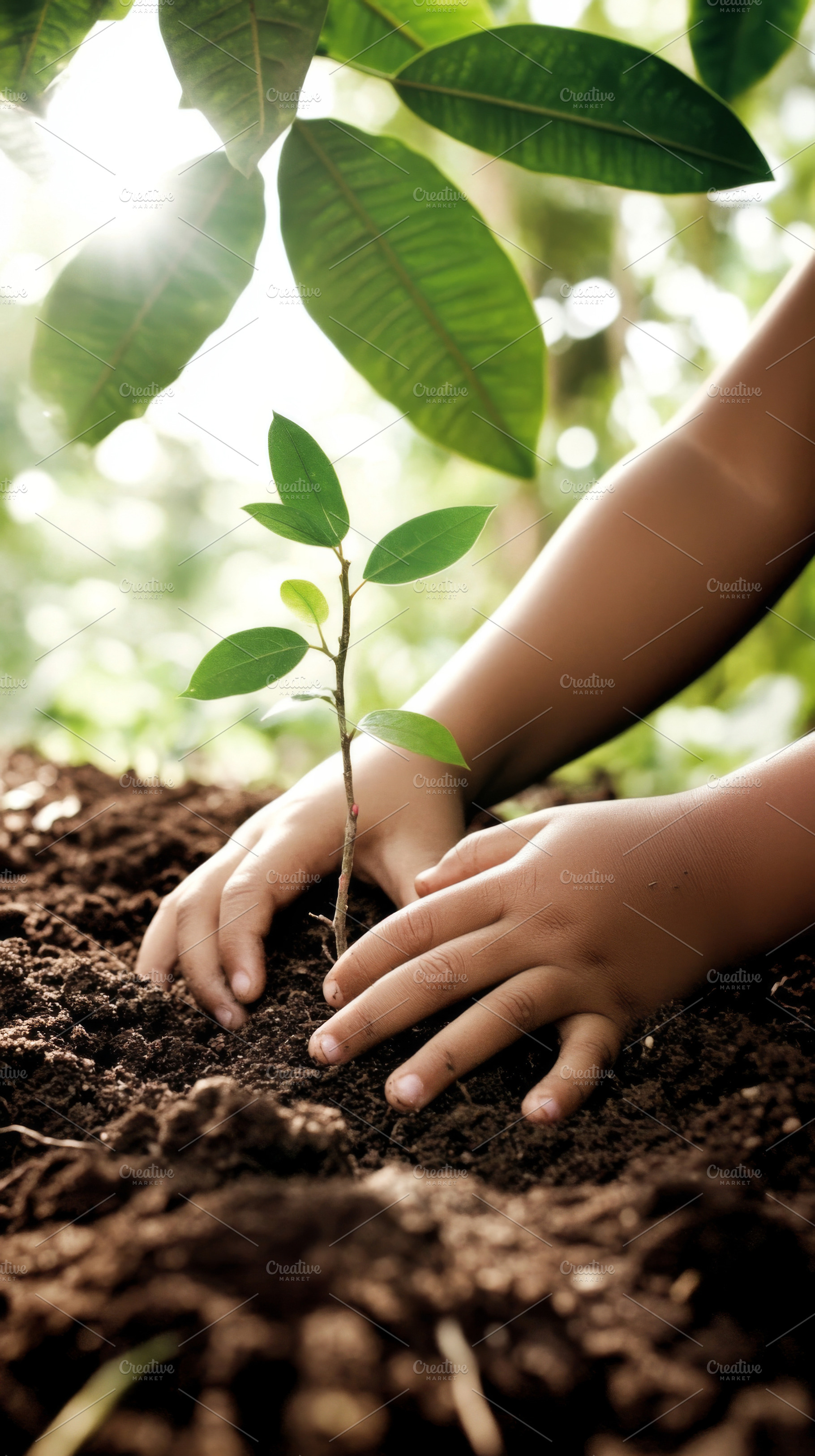 Child planting young sapling in rich, a Photo by Dvoevnore photos