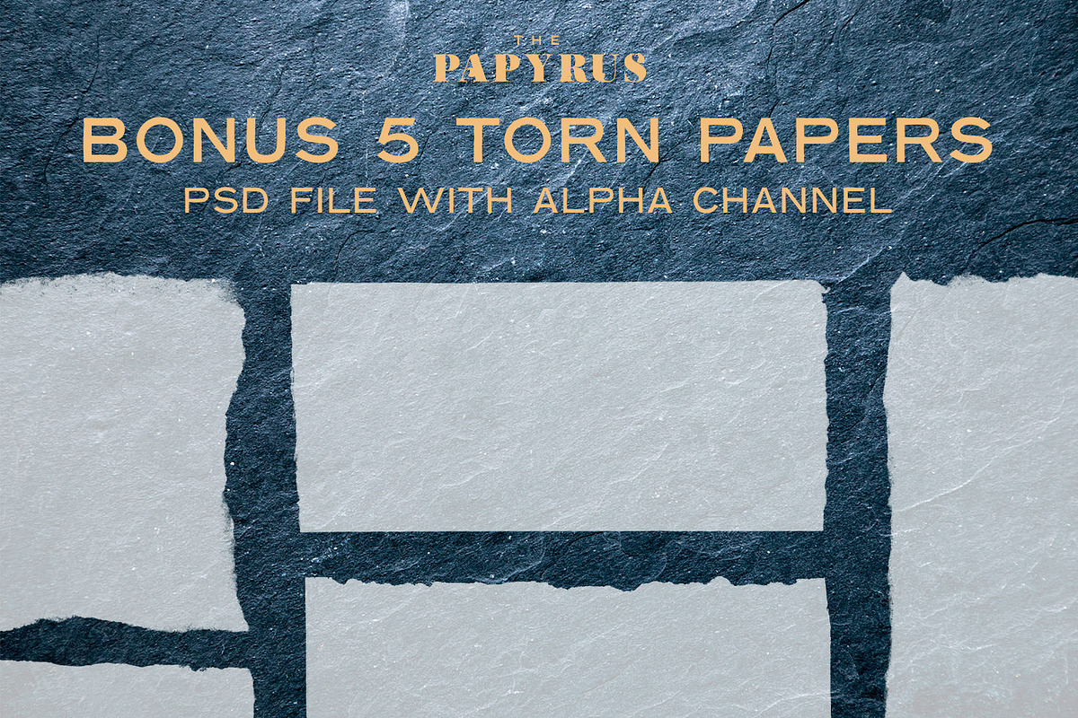 The Papyrus - 65 Paper Textures, a Texture Graphic by Madebyvadim (Photo 4 of 7)