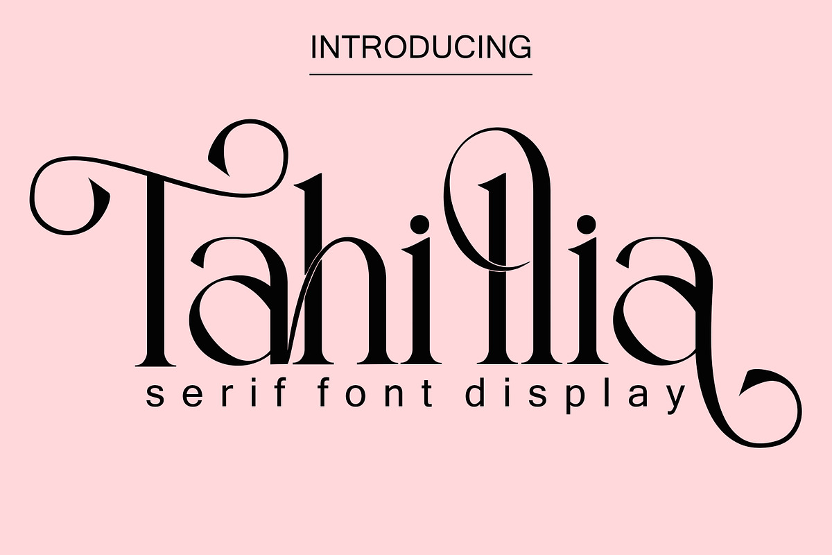 Tahillia, a Serif Font by Canden Meutuah (Photo 1 of 10)