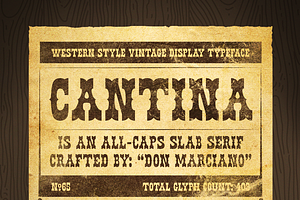 Cantina - Western Slab Serif