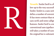Senlot Serif, a Serif Font by insigne (Thumbnail 5 of 6)