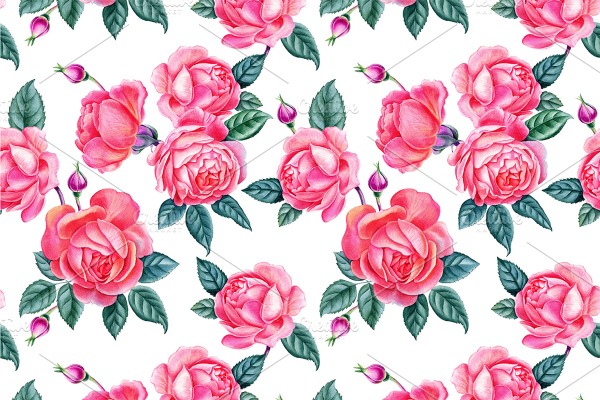 Roses, an Illustration by Watercolor life (Photo 6 of 6)