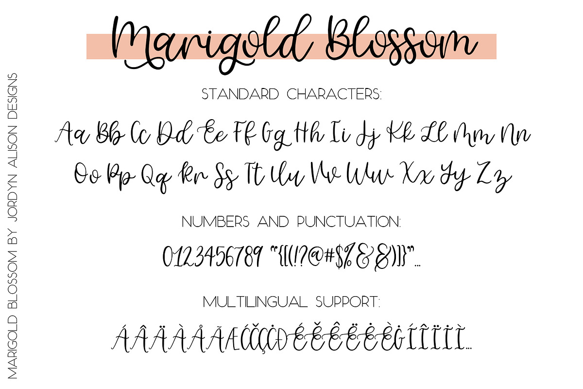 Marigold Blossom Script Font preview 8