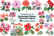 Geranium Flower Watercolor Clipart, an Illustration by Craft Nest (Thumbnail 1 of 5)