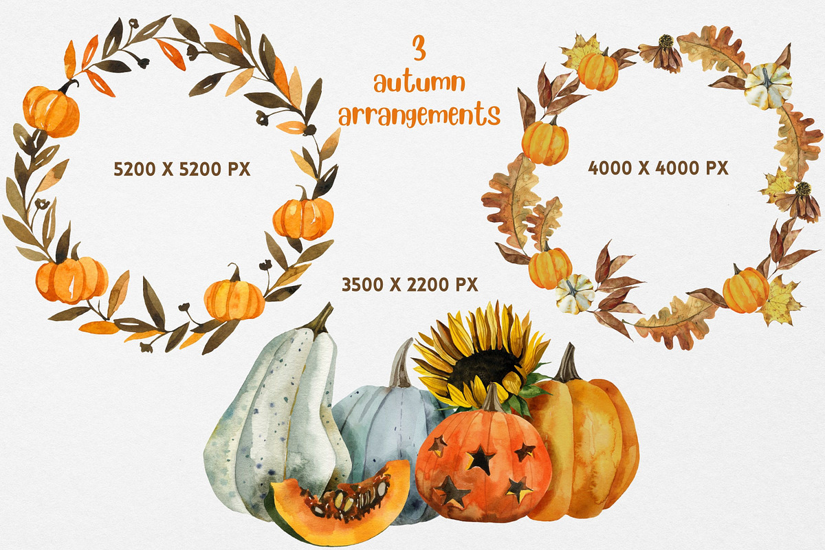 Autumn watercolor clipart pumpkins, an Animal Illustration by Artcard Watercolor (Photo 4 of 15)
