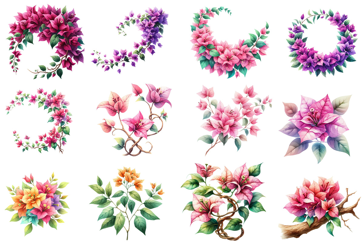 Bougainvillea Flower Clipart Bundle, an Illustration by Designworld (Photo 2 of 5)
