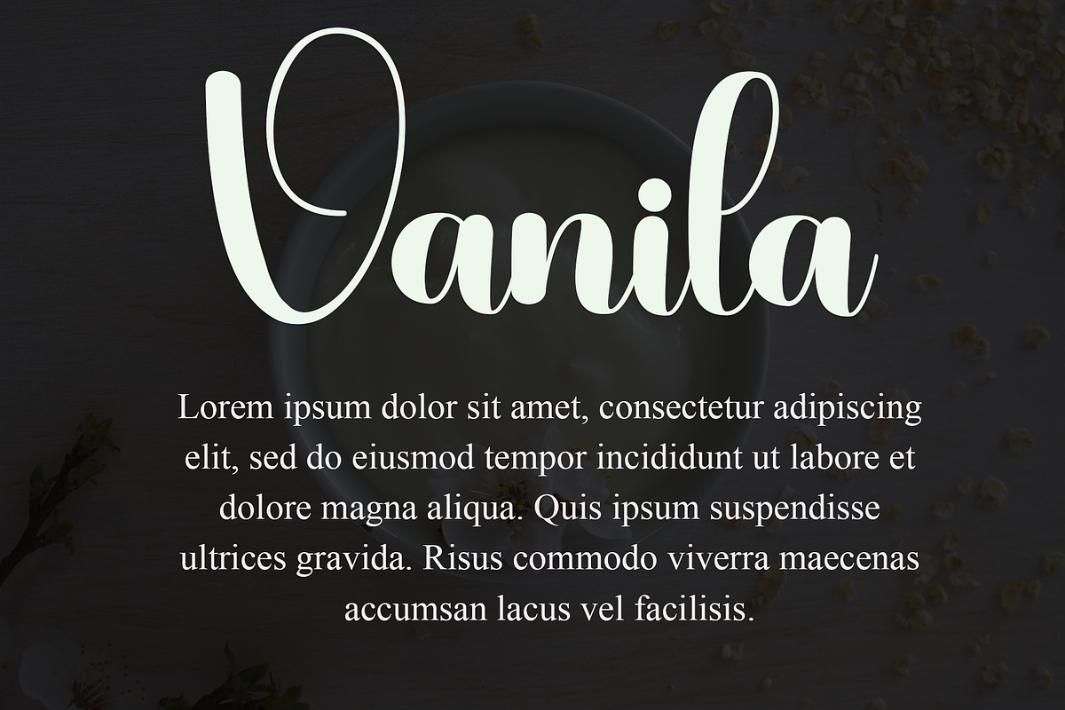 Vanila, a Script Font by InermediaSTUDIO (Photo 6 of 8)