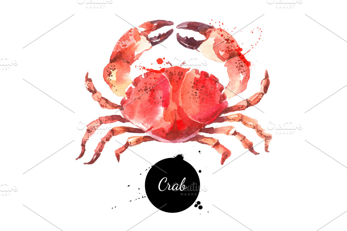 Watercolor Sketch Seafood Vector Set, an Animal Illustration by Elena Pimonova (Photo 2 of 4)